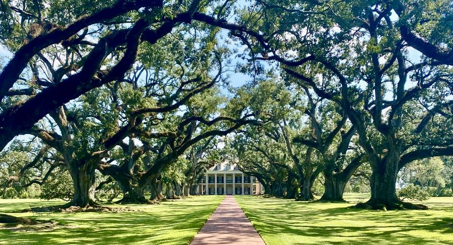 Deep South 48 Deep South 48